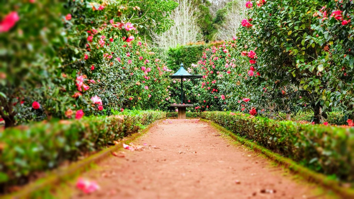 Landscaped outdoor garden with peaceful seating areas and paved walkways
